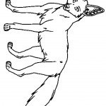 דף צביעה תן 8