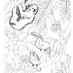 דף צביעה קוף ותוכים ביערות הג'ונגל