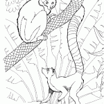 דף צביעה קוף ושועל בג'ונגל