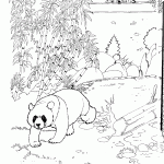 דף צביעה דוב פנדה בספארי