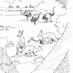 דף צביעה קנגרואים ובנות יענה בספארי