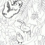דף צביעה תוכים וקוף בג'ונגל