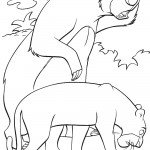 דף צביעה הדוב באלו והפנתר בגירה