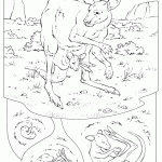 דף צביעה קונגורו 11 דף צביעה קונגורו 11