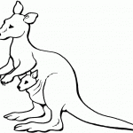 דף צביעה קונגורו 10 דף צביעה קונגורו 10