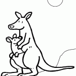 דף צביעה קונגורו 5 דף צביעה קונגורו 5