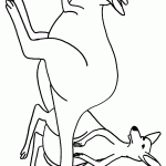 דף צביעה קונגורו 4 דף צביעה קונגורו 4
