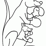 הקונגורו ותינוקה לובשים כפפות אגרוף הקונגורו ותינוקה לובשים כפפות אגרוף