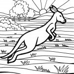 דף צביעה קונגורו 3 דף צביעה קונגורו 3