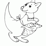 תינוק הקונגורו בכיס הסינר של אמו תינוק הקונגורו בכיס הסינר של אמו