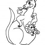 קונגורו בכיס האם עם מוצץ קונגורו בכיס האם עם מוצץ