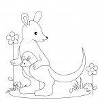 קנגורו מטייל בין הפרחים קנגורו מטייל בין הפרחים