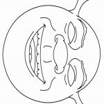 דף צביעה מסכת שרק