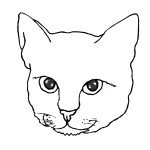 דף צביעה מסכת חתול