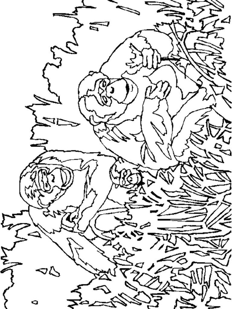 monkey_cl_9