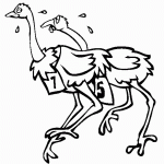 בנות יענה במירוץ קשה במיוחד