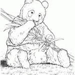 דף צביעה דוב פנדה 2