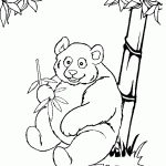 דף צביעה דוב פנדה 3