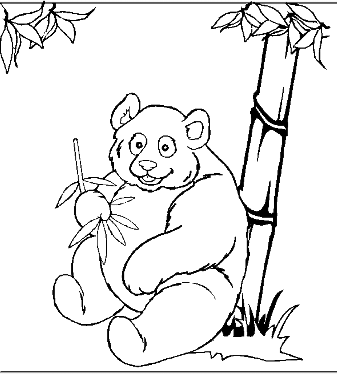 פרינטיים: דפי צביעה של דובי פנדה  Desenhos lindos para colorir, Panda  desenho, Desenhos animados para colorir