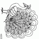 דף צביעה טווס 4