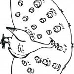 דף צביעה טווס 11