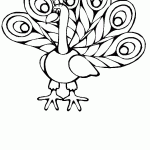 דף צביעה טווס 17