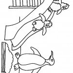 פינגווינים גולשים במגלשה