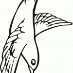 דף צביעה יונה 10