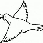 דף צביעה יונה 9