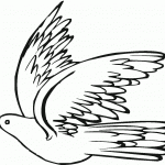 דף צביעה יונה 13