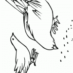 דף צביעה יונה מלקטת זירעונים