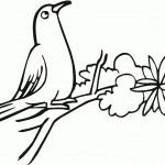 דף צביעה יונה 3