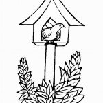 דף צביעה יונה מציצה מהשובך