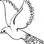 דף צביעה יונה 1