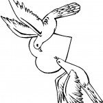 דף צביעה סיפור אהבה בין יונים