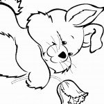 ארנב הולך לישון עם פרח