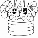 שני ארנבים ושני פרחים בסלסילה