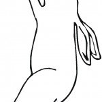 דף צביעה ארנב 3