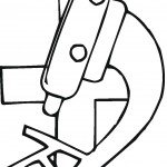 דף צביעה מיקרוסקופ 2