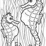 דף צביעה סוס ים 14