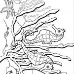 דף צביעה סוס ים 13