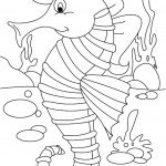 דף צביעה סוס ים 3