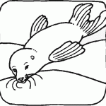 דף צביעה כלב ים 12