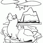 דף צביעה כלב ים 10