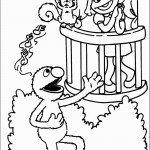 דף צביעה אלמו שר לזואי סרנדה