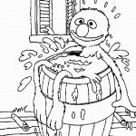 דף צביעה אלמו נפל לחבית מים