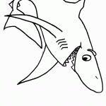 דף צביעה כריש 11