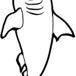 דף צביעה כריש 10