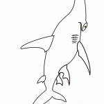 דף צביעה כריש 8