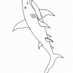 דף צביעה כריש 2